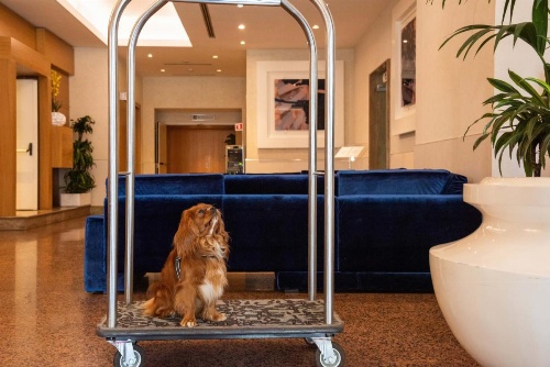 Best Western Hotel President image 33